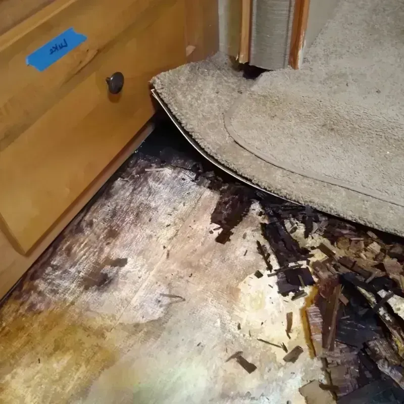 Wood Floor Water Damage in West Melbourne, FL